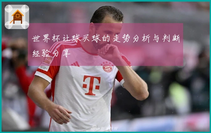世界杯让球买球的走势分析与判断经验分享