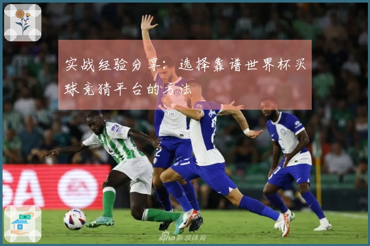 实战经验分享：选择靠谱世界杯买球竞猜平台的方法