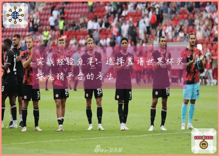 实战经验分享：选择靠谱世界杯买球竞猜平台的方法