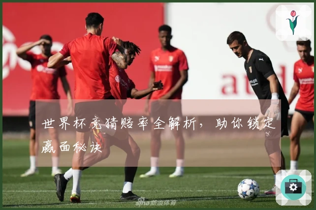世界杯竞猜赔率全解析，助你锁定赢面秘诀