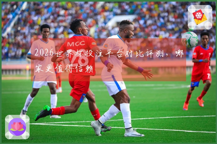 2026世界杯投注平台对比评测，哪家更值得信赖