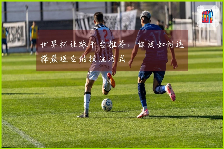 世界杯让球平台推荐，你该如何选择最适合的投注方式