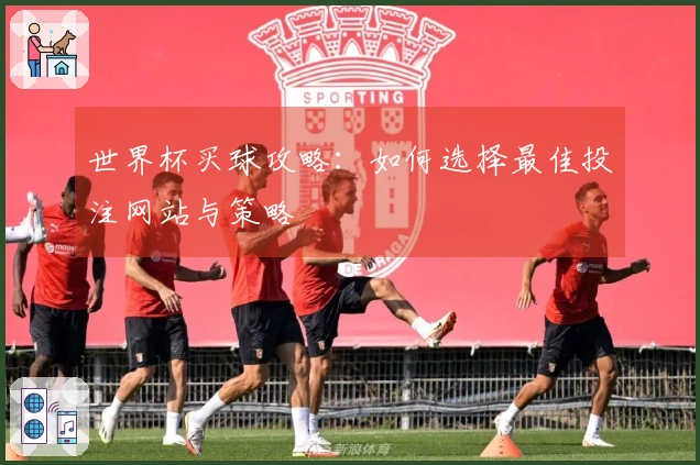 世界杯买球攻略：如何选择最佳投注网站与策略