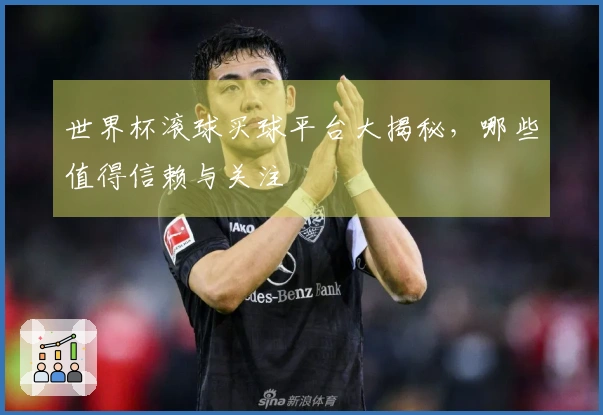 世界杯滚球买球平台大揭秘，哪些值得信赖与关注